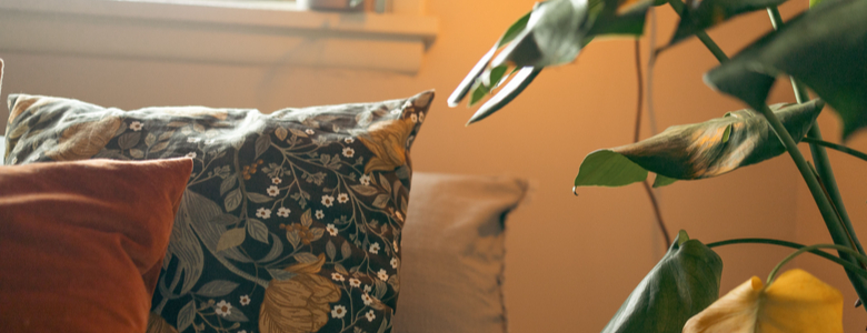 A nature-print cushion and house plant